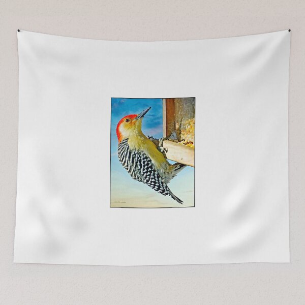 Item preview, Redbellied Woodpecker. Male on Bird Feeder designed and sold by AMacGPhilly.