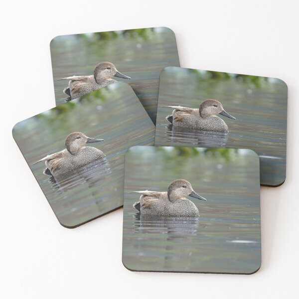 Item preview, Male Gadwall Duck three-quarter view designed and sold by lisavonbiela.