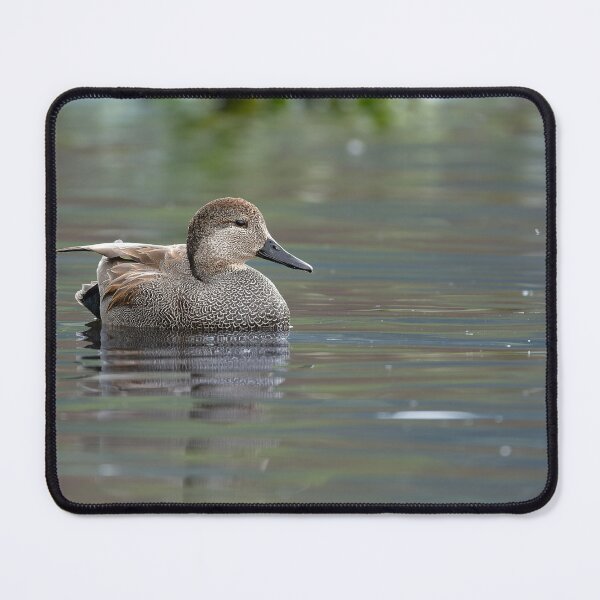 Item preview, Male Gadwall Duck three-quarter view designed and sold by lisavonbiela.