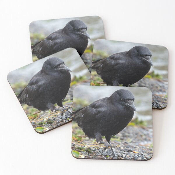 Item preview, Determined American Crow on the move designed and sold by lisavonbiela.