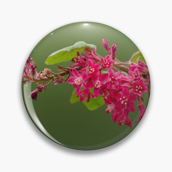 Item preview, Red-flowering currant branch with soft background designed and sold by lisavonbiela.