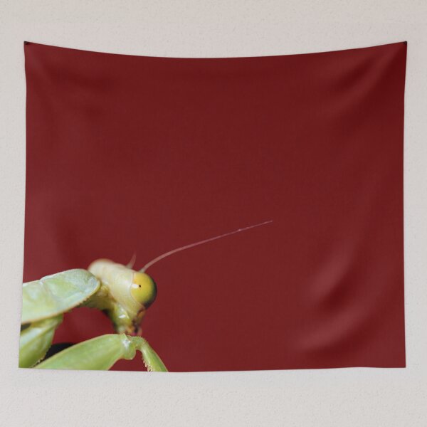 Item preview, Mantis Red designed and sold by JacJaq.