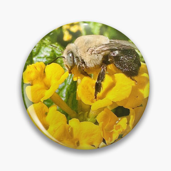 Item preview, Bee Fly Yellow Flowers Green Plants Photography Stickers Posters Wall Art Magnet Home Coffee Cup Decoration TShirt Stationary Notebook Magnet Hat Kitchen Work School Office Redbubble Shop designed and sold by Saritas Boutique Shop.