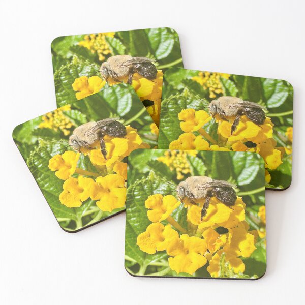 Item preview, Bee Fly Yellow Flowers Green Plants Photography Stickers Posters Wall Art Magnet Home Coffee Cup Decoration TShirt Stationary Notebook Magnet Hat Kitchen Work School Office Redbubble Shop designed and sold by Saritas Boutique Shop.