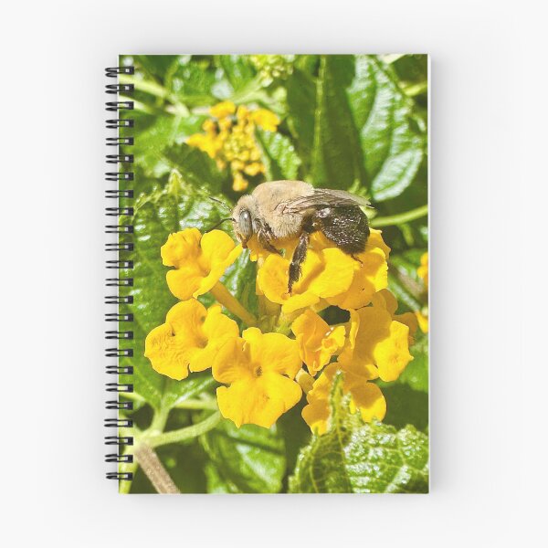 Item preview, Bee Fly Yellow Flowers Green Plants Photography Stickers Posters Wall Art Magnet Home Coffee Cup Decoration TShirt Stationary Notebook Magnet Hat Kitchen Work School Office Redbubble Shop designed and sold by Saritas Boutique Shop.