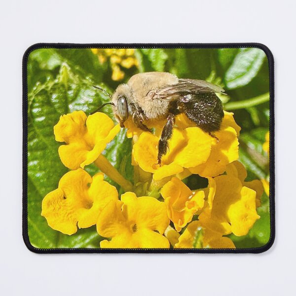 Item preview, Bee Fly Yellow Flowers Green Plants Photography Stickers Posters Wall Art Magnet Home Coffee Cup Decoration TShirt Stationary Notebook Magnet Hat Kitchen Work School Office Redbubble Shop designed and sold by Saritas Boutique Shop.