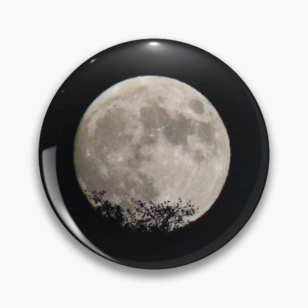 Item preview, moon trees designed and sold by photographic contemplations.