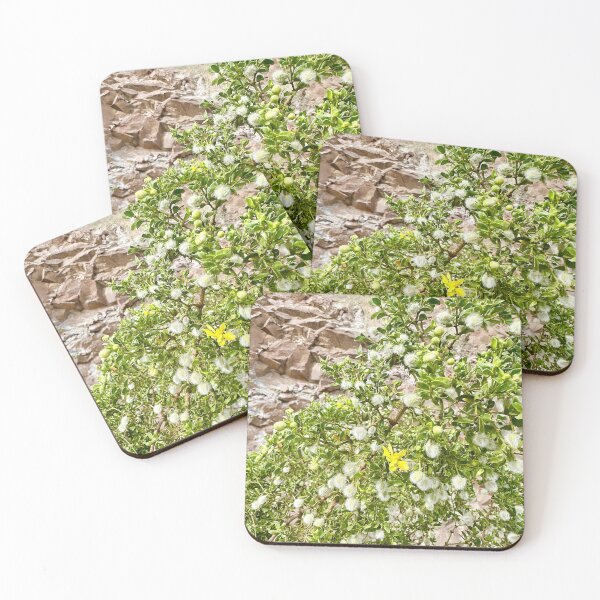 Item preview, Blooming Fluffy Puff Flower Plant Photography Stickers Prints Posters Wall Art Magnet Home Coffee Cup Decoration TShirt Stationary Notebook Magnet Hat Kitchen Work School Office Redbubble Shop designed and sold by Saritas Boutique Shop.