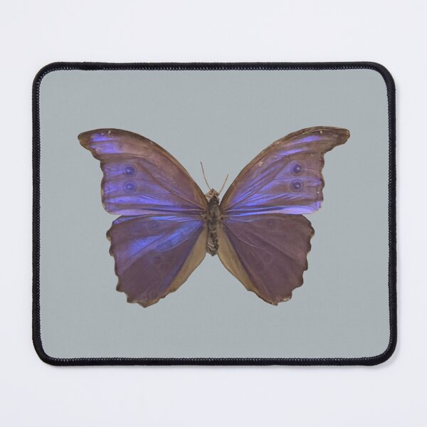 Item preview, Morpho Butterfly designed and sold by redhead-autumn.