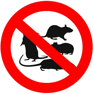 Artwork thumbnail, No Rats by Waste Brain