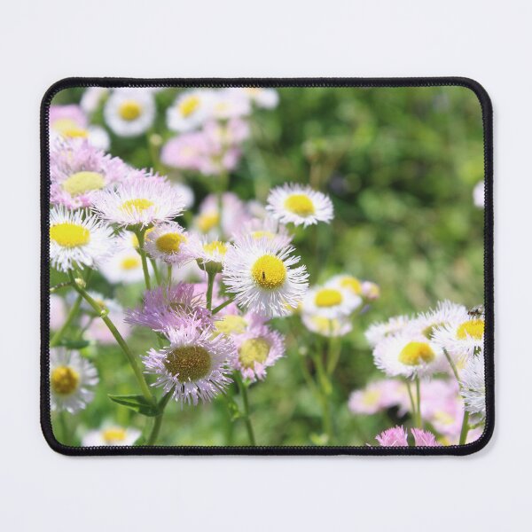 Item preview, Fleabane flowers designed and sold by McFleur's Lens.