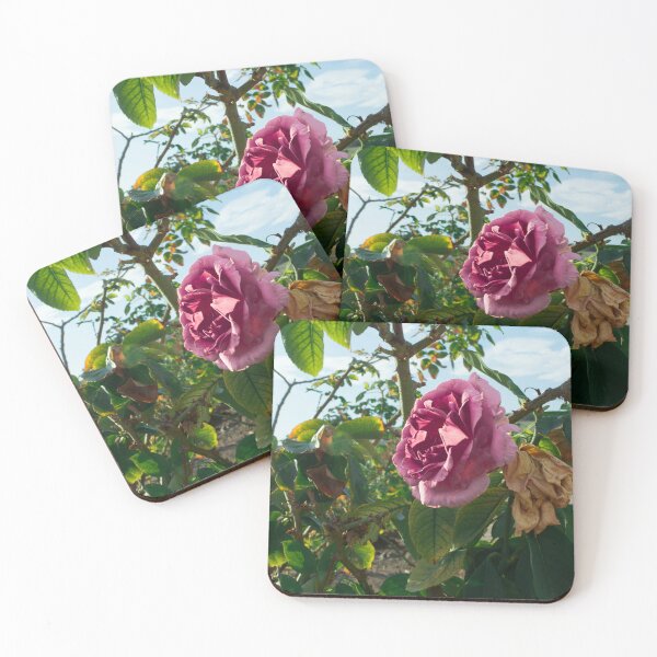 Item preview, La supervivencia d ela flor designed and sold by NienorLand.