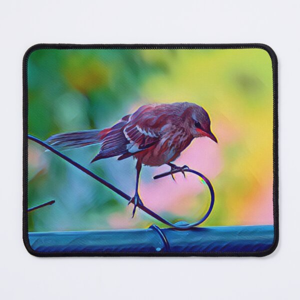 Item preview, Colorful Artistic Version of a Mockingbird Photo designed and sold by Pondside-Pics.