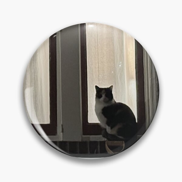Item preview, Frankie in the window designed and sold by photographic contemplations.