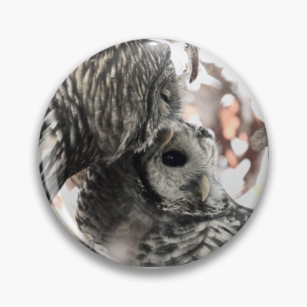 Item preview, owl love designed and sold by photographic contemplations.