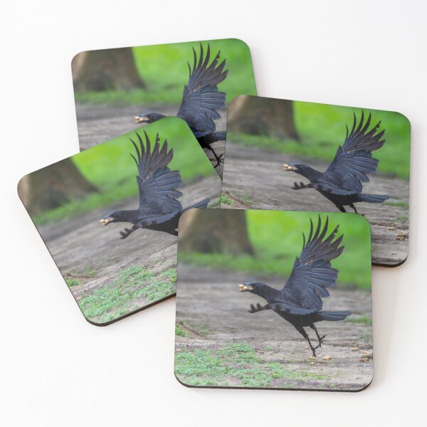 Item preview, Crow Taking Off With 3 Peanuts in Its Beak designed and sold by Pondside-Pics.