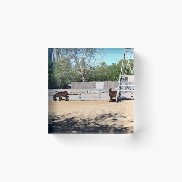 Item preview, Santa Ana Zoo designed and sold by supernova23.