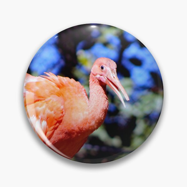 Item preview, Santa Ana Zoo designed and sold by supernova23.