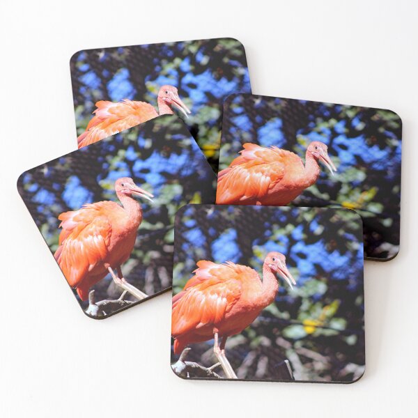 Item preview, Santa Ana Zoo designed and sold by supernova23.