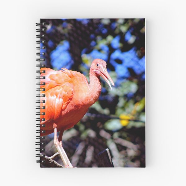 Item preview, Santa Ana Zoo designed and sold by supernova23.