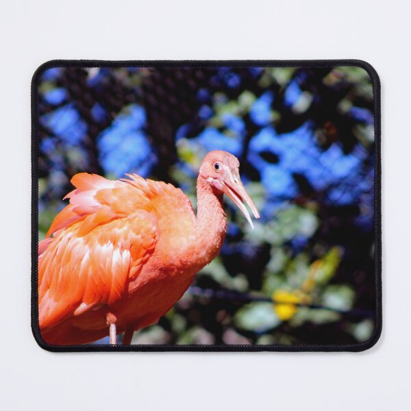 Item preview, Santa Ana Zoo designed and sold by supernova23.