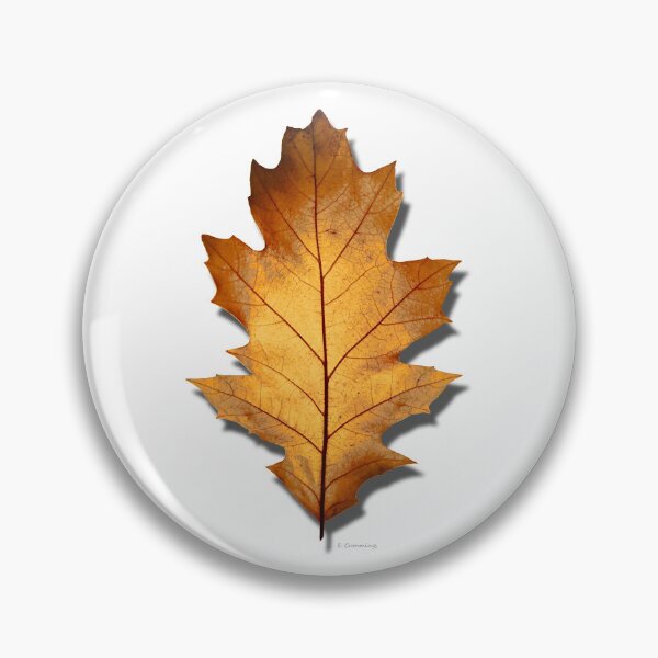 Item preview, Fall Autumn Burnt Orange Oak Leaf Botanical Nature Art designed and sold by Sharon Cummings Art.