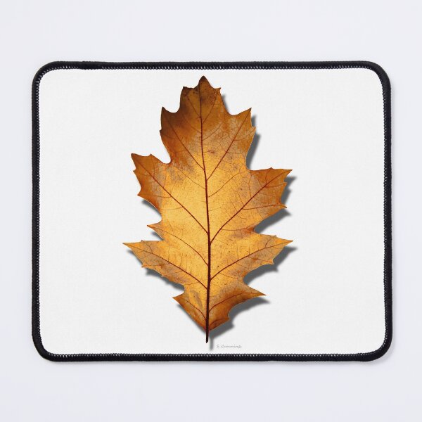 Item preview, Fall Autumn Burnt Orange Oak Leaf Botanical Nature Art designed and sold by Sharon Cummings Art.