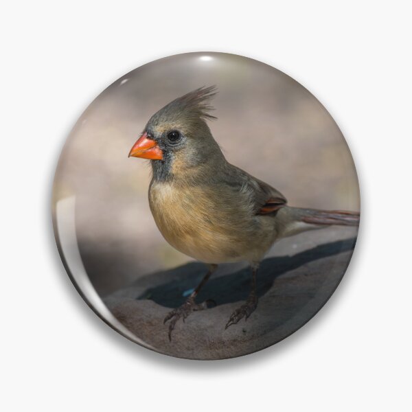 Item preview, Female Cardinal Perched on Rock designed and sold by Debra Martz.