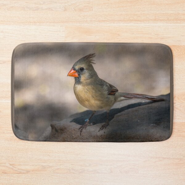 Item preview, Female Cardinal Perched on Rock designed and sold by Debra Martz.
