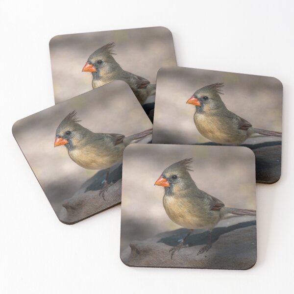 Item preview, Female Cardinal Perched on Rock designed and sold by Debra Martz.