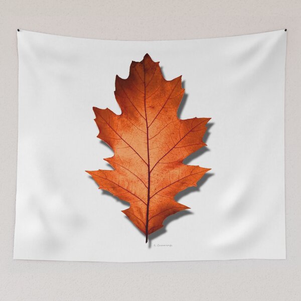 Item preview, Fall Autumn Red Northern Oak Leaf Botanical Nature Art designed and sold by Sharon Cummings Art.