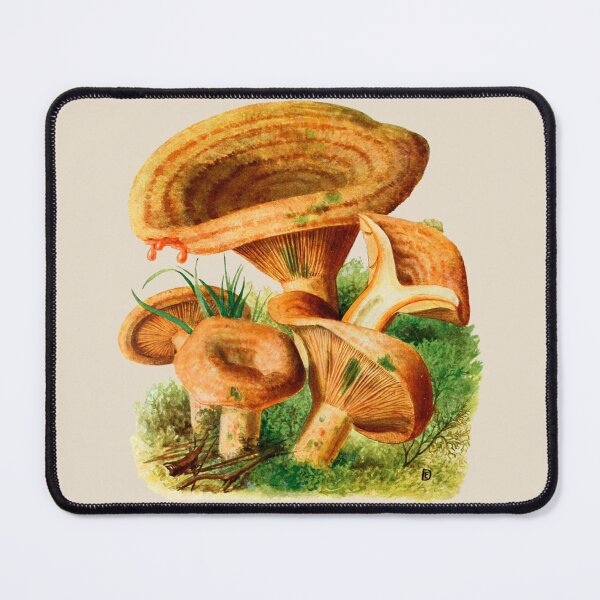 Item preview, vintage mushrooms designed and sold by okapia concolor.