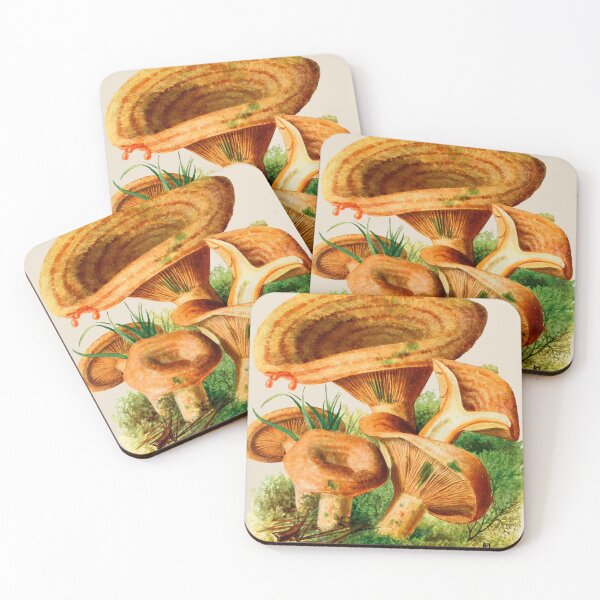 Item preview, vintage mushrooms designed and sold by okapia concolor.