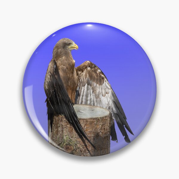 Item preview, Yellow-Billed Kite designed and sold by JeanKellyPhoto.