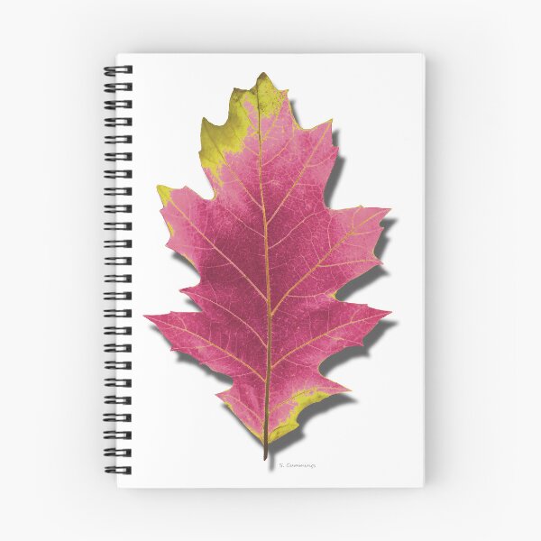 Item preview, Spring Pink Green Oak Leaf Botanical Nature Art designed and sold by Sharon Cummings Art.