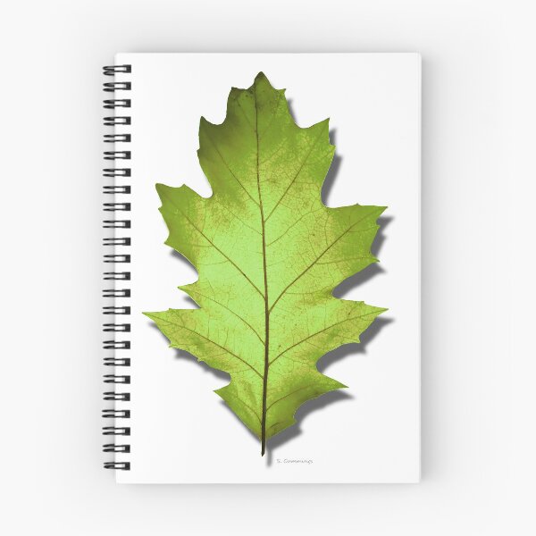 Item preview, Spring Summer Green Oak Leaf Botanical Nature Art designed and sold by Sharon Cummings Art.