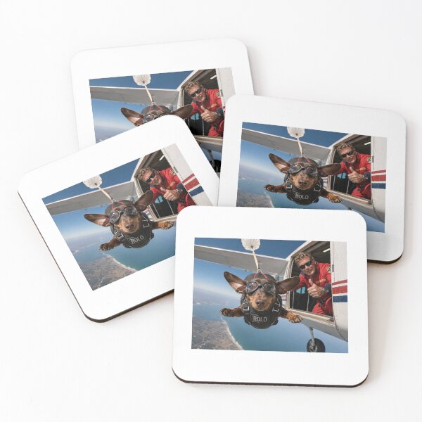 Item preview, Rolo chocolate tan miniature dachshund sky diving  designed and sold by Stephen Chambers.