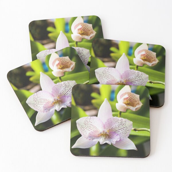 Item preview, Cattleya Orchid 1 designed and sold by nastiaart.