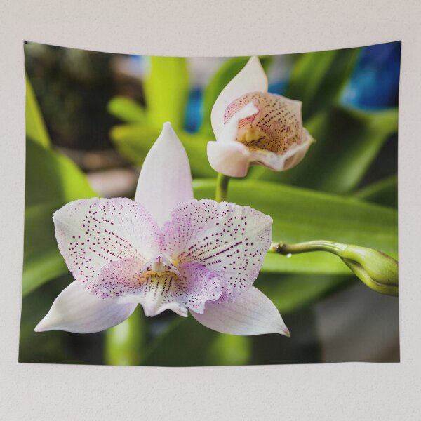 Item preview, Cattleya Orchid 1 designed and sold by nastiaart.