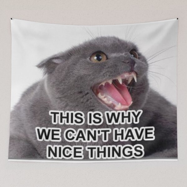 Item preview, THIS IS WHY WE CAN’T HAVE NICE THINGS designed and sold by SterkalaPress.