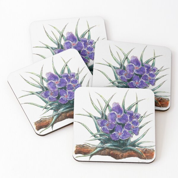Item preview, Air plant designed and sold by mariodibuja.