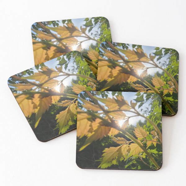 Item preview, Nature designed and sold by Joshuamarie19.