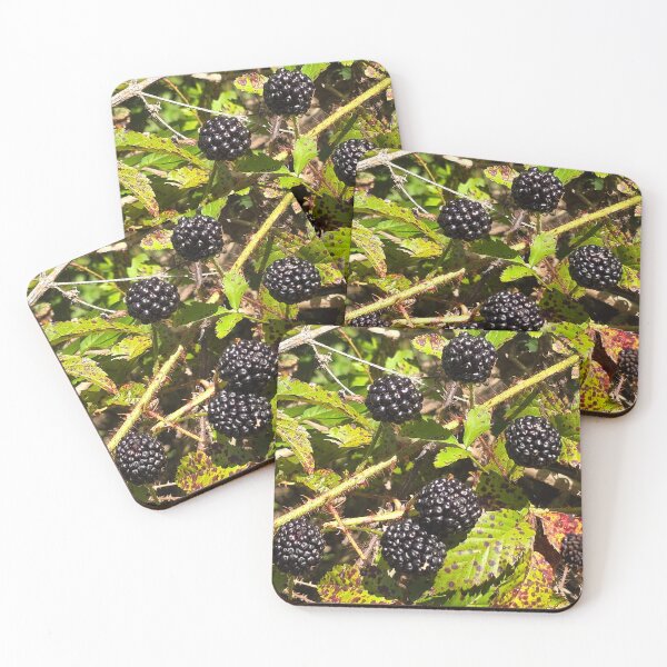 Item preview, Black Berries  2 designed and sold by Joshuamarie19.