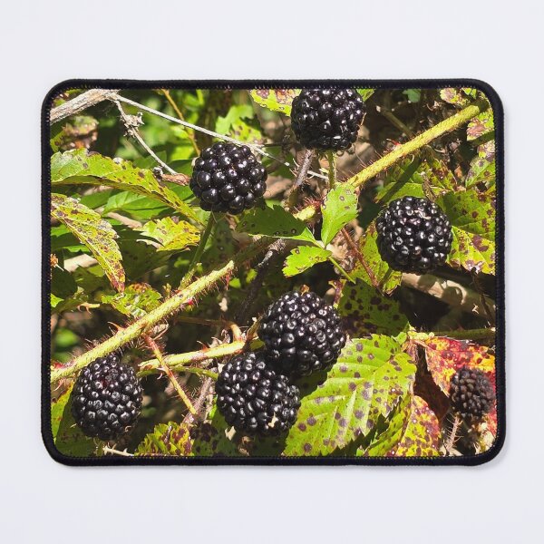 Item preview, Black Berries 2 designed and sold by Joshuamarie19.