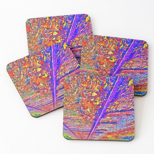 Item preview, Which way designed and sold by Tociota.