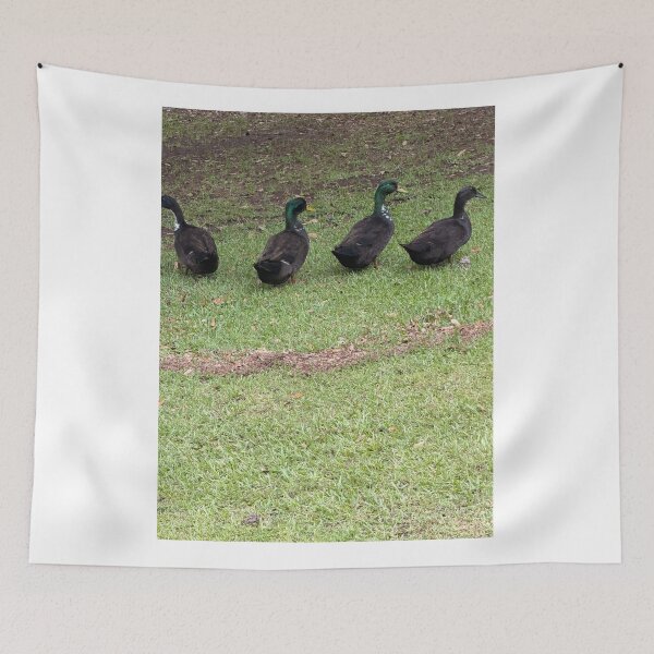 Item preview, Duck tails. designed and sold by Pearls1.