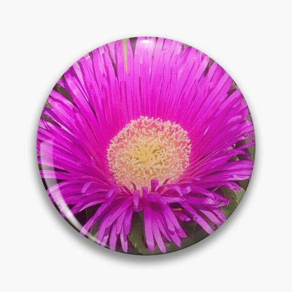 Item preview, Pink Sunshine, NorCal Spring Beachy Blooms designed and sold by Sonoma Salt & Petal.