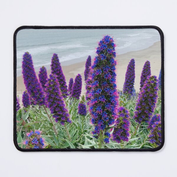 Item preview, Purple Power on the cliff  designed and sold by Sonoma Salt & Petal.