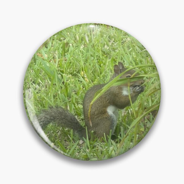 Item preview, Whispers of the Forest: Grey Squirrel. designed and sold by Pearls1.