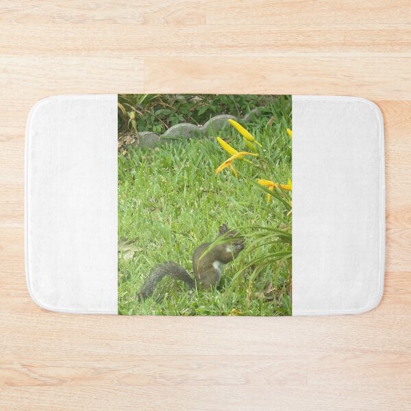 Item preview, Whispers of the Forest: Grey Squirrel. designed and sold by Pearls1.